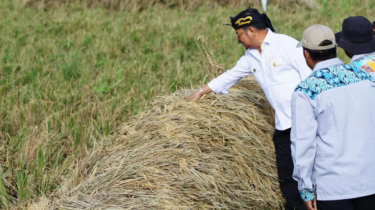 Kabupaten Bekasi Catatkan Peningkatan Panen Padi Sebanyak Tiga Persen, Sangga Jabar dan DKI Jakarta