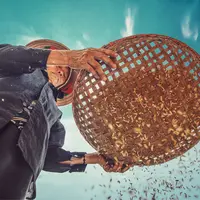 ilustrasi beras | unsplash.com/@rafaeltran