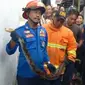 Petugas Pemadam Kabakaran Banyuwangi menangkap ular sanca dengan panjang 3 meter di pemukiman warga (Istimewa)