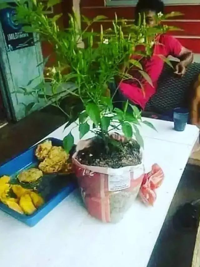 7 Potret Absurd Aksi Penjual Gorengan yang Bikin Heran