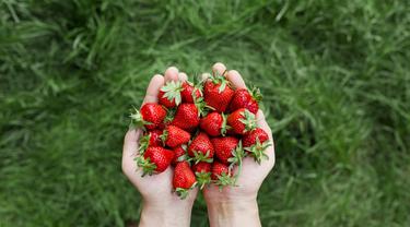 Manfaat Strawberry