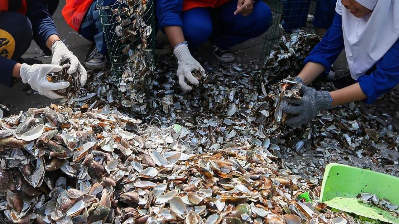 Pelajar Sekolah Rakyat Ancol saat membuat filter alami dari cangkang kerang hijau dalam kegiatan Amazing Earth Race di Taman Impian Jaya Ancol, Jakarta, Minggu (28/4/2024). Foto: Liputan6.com / Angga Yuniar