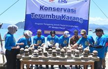 Fakta Unik! Trenggalek Apresiasi Konservasi Mangrove dan Terumbu Karang: Daya Serap Karbon Lebih Tinggi