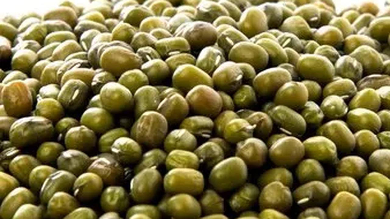 Manfaat dan Kandungan Nutrisi Kacang Hijau bagi Kehamilan
