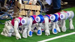 Sejumlah robot disiapkan sebelum mengikuti pertandingan kompetisi Liga Platform Standar di RoboCup GermanOpen 2018, Magdeburg, Jerman (28/4). Acara ini diikuti sekitar 200 tim dari 16 negara. (AP/Jens Meyer)