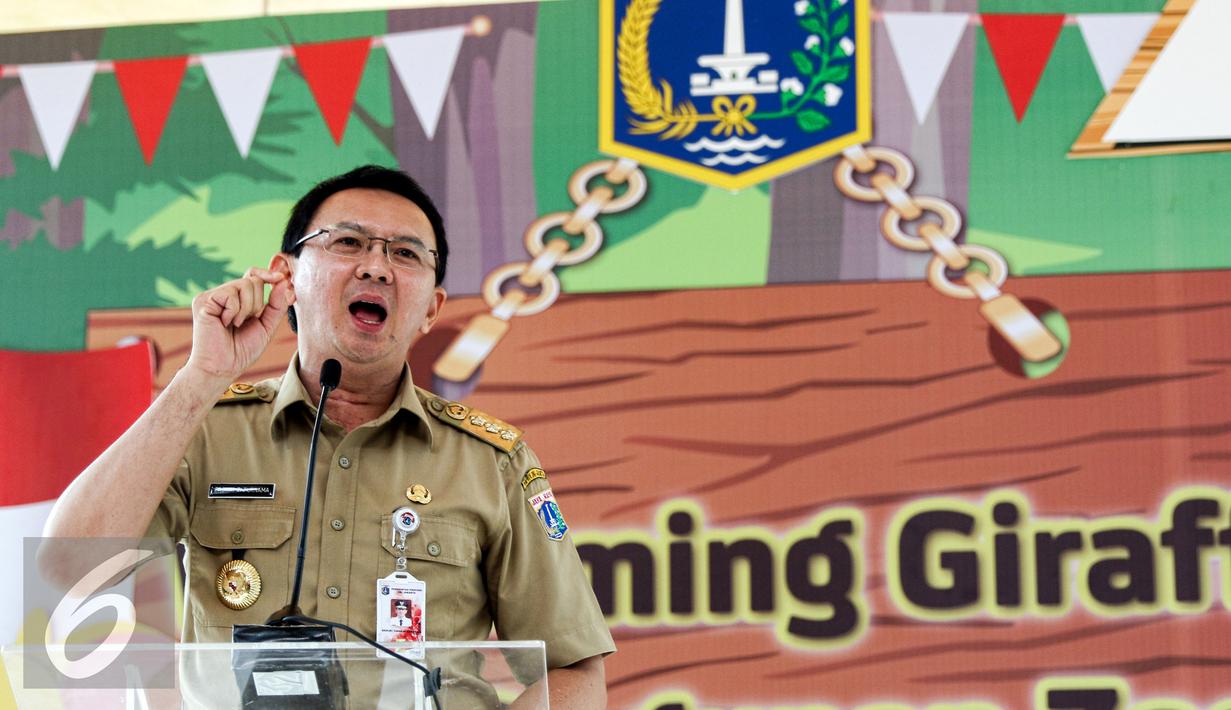 Gubernur DKI Jakarta Basuki T Purnama memberikan sambutan di Kebun Binatang Ragunan, Jakarta, Selasa (18/8/2015). Ragunan kini memiliki sepasang Jerapah hasil hibah dari Kebun Binatang Taronga Zoo, Sidney, Australia. (Liputan6.com/Yoppy Renato)