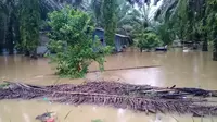 Banjir melanda kawasan Kabupaten Aceh Singkil setelah Sungai Lae Cinendang meluap akibat intensitas hujan yang tinggi sejak Minggu (30/8/2020). (Liputan6.com/ Ist)