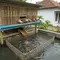 10 Ide Tata Letak Kolam Lele dan Kandang Bebek yang Efisien, Bisnis Ternak Minim Limbah