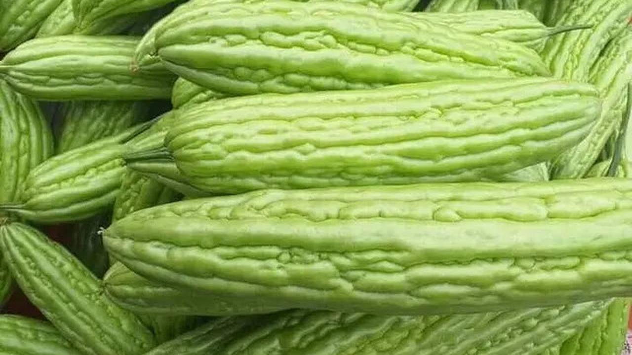 Manfaat Pare untuk Turunkan Kolesterol dan Gula Darah