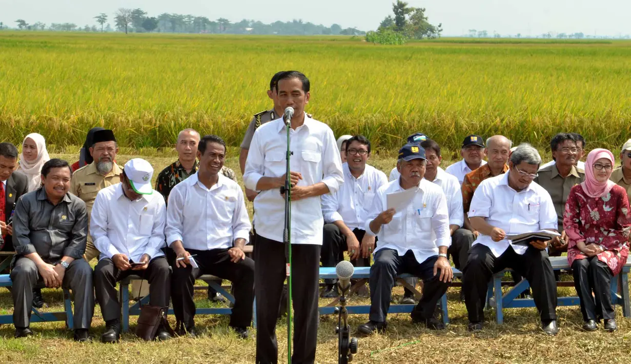 Presiden Joko Widodo memberikan pidato saat menghadiri panen raya di Desa Kedokan Gabus, Kecamatan Gabus Wetan, Kabupaten Indramayu, Rabu (18/3/2015). (Rumgrapres/Agus Suparto)