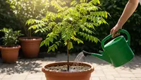 7 Cara Mengerdilkan Pohon Belimbing agar Muat di Pot dan Cepat Berbuah