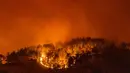 Pemandangan kobaran api dari kebakaran hutan di Desa Akcayaka, Milas, Provinsi Mugla, Turki, Jumat (6/8/2021). Delapan orang tewas dan puluhan lainnya dirawat di rumah sakit dalam kebakaran hutan di Turki. (Yasin AKGUL/AFP)