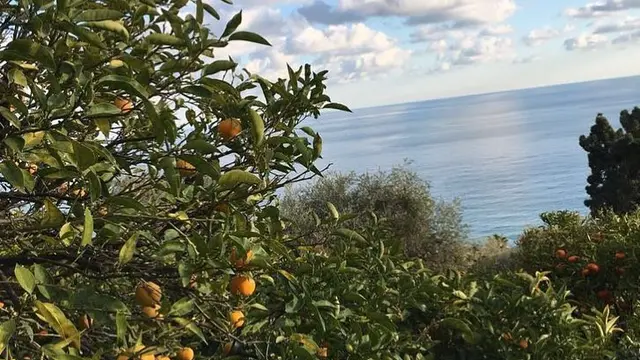 Restoran Mirazur