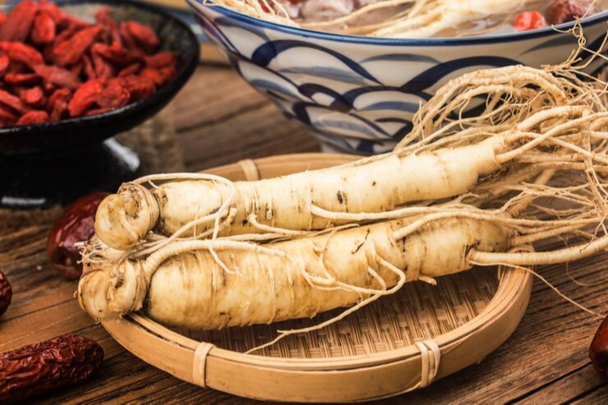 ginseng