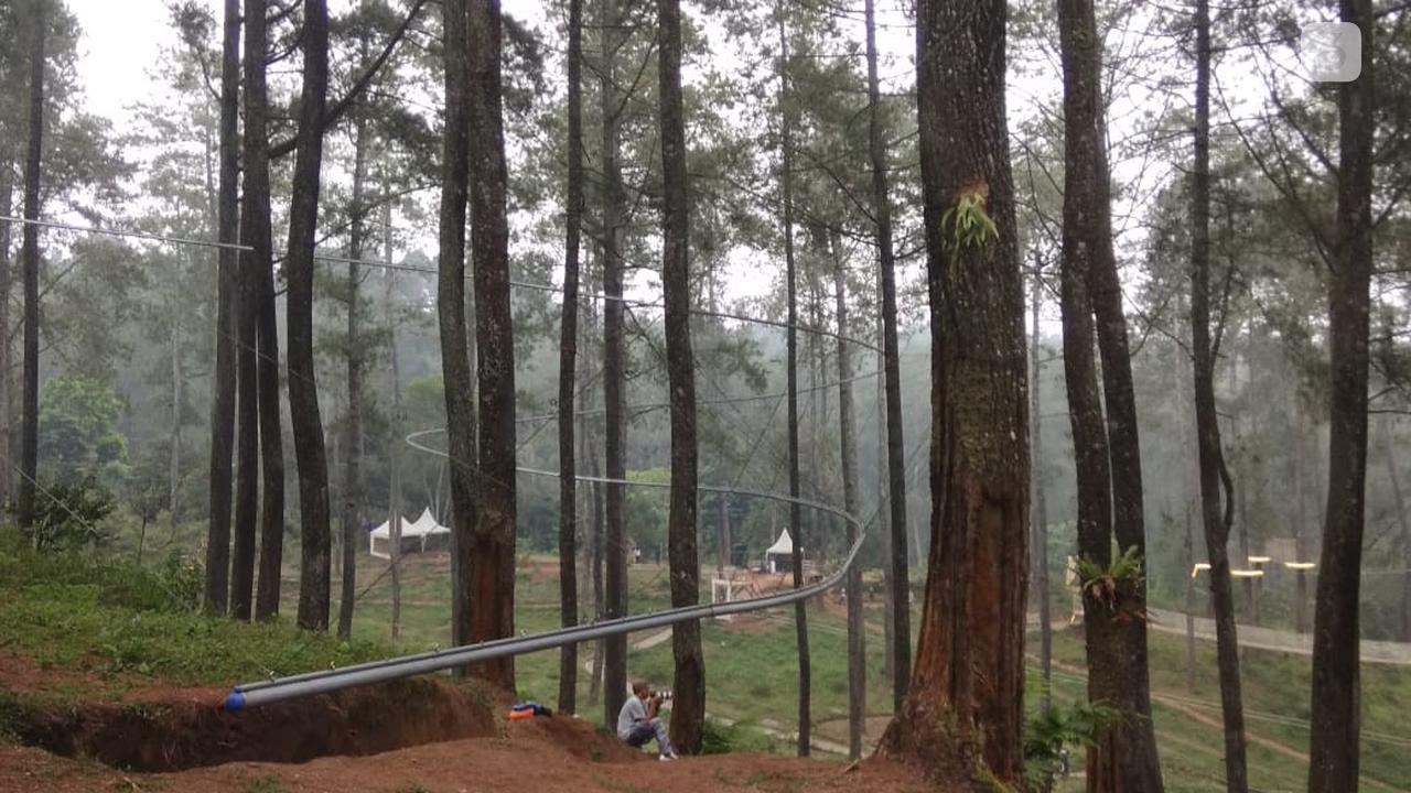 Zipline Orchid Forest