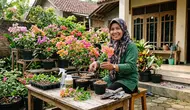 8 Cara Memperbanyak Bunga Kertas, Panduan Lengkap untuk Pemula