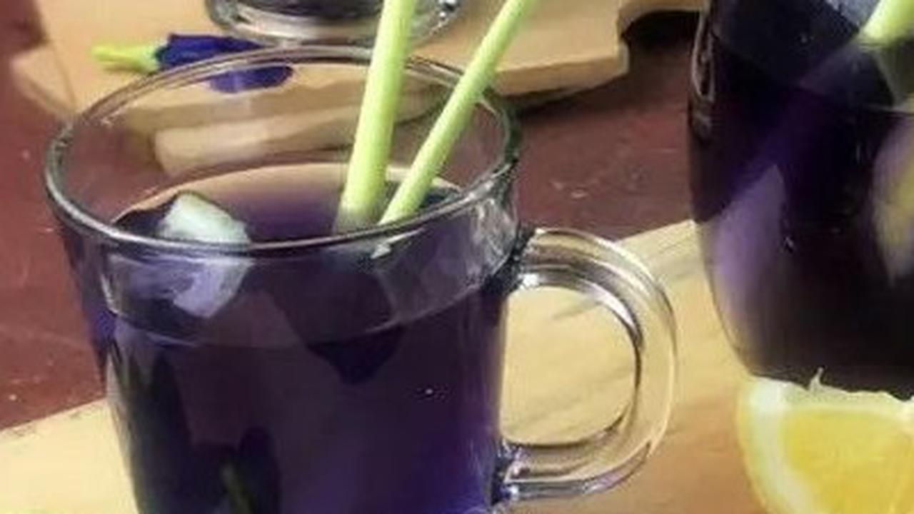5 Resep Minuman Bunga Telang yang Menyegarkan dan Menyehatkan