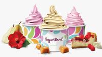 Yogurt. foto: istimewa