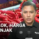 Panen Anjlok, Harga Cabai Melonjak