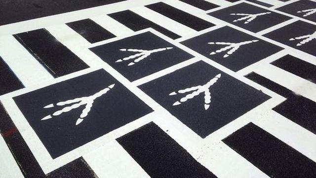 6 Potret Zebra Cross Anti-Mainstream, Tidak Hanya Garis Putih
