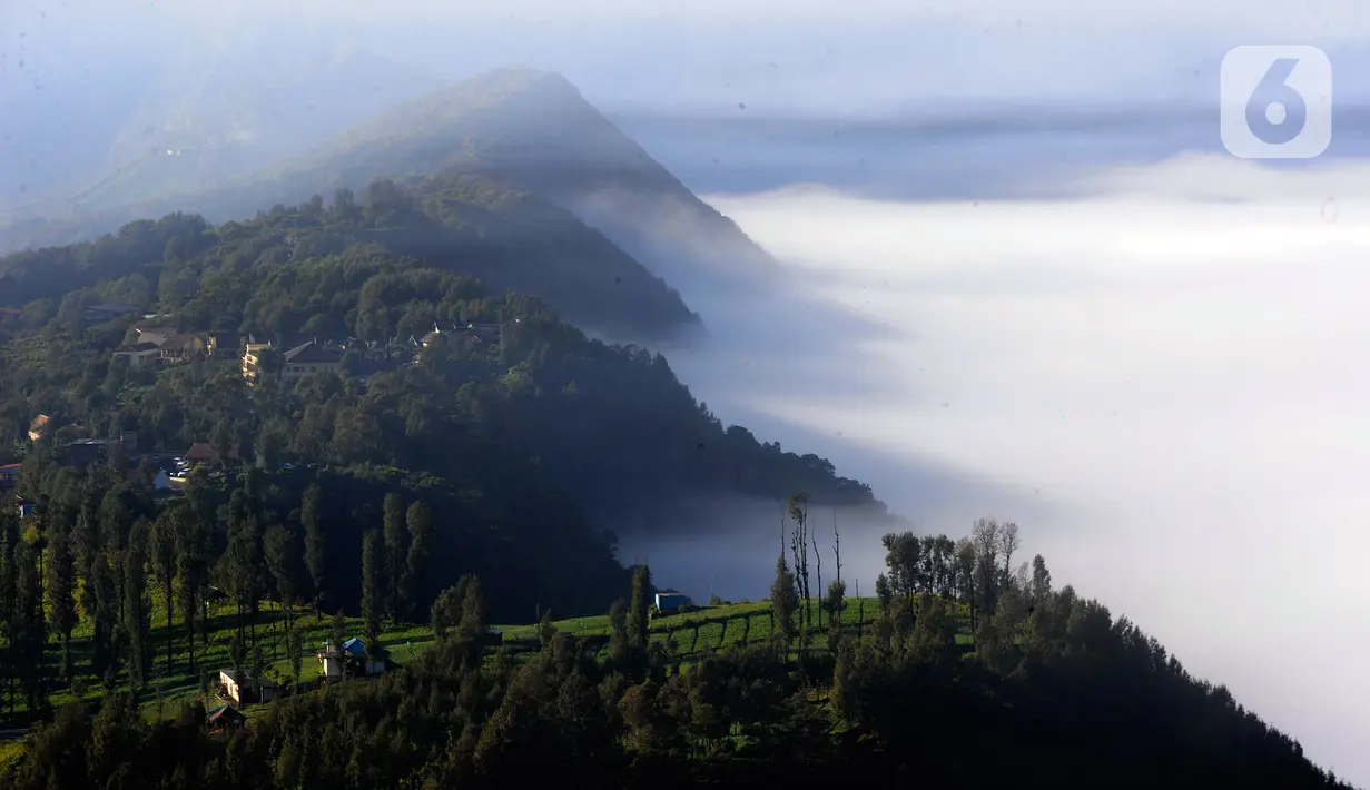 Kemunculan kabut tebal justru menambah keindahan kawasan Kaldera Bromo. (merdeka.com/Arie Basuki)