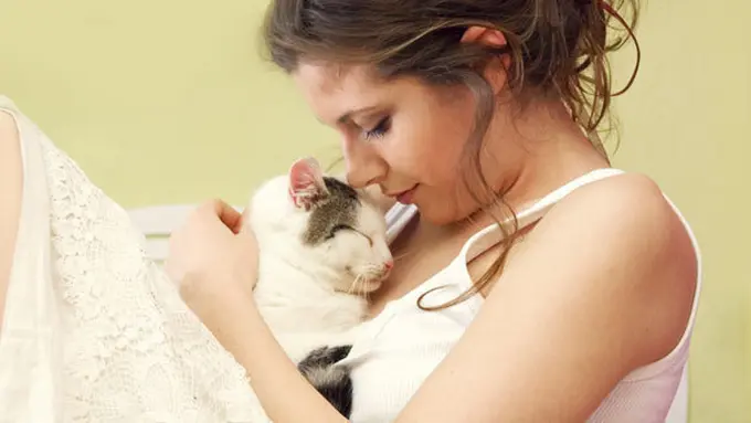 copyright by shutterstock.com