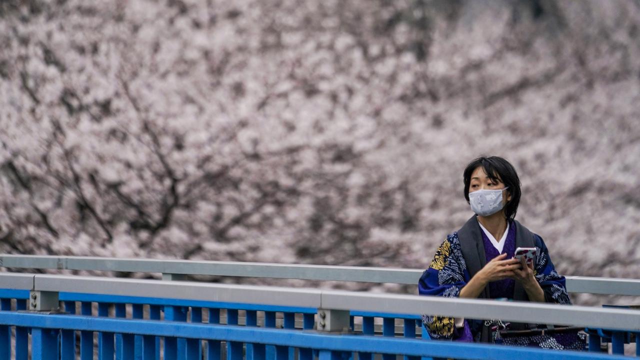 FOTO: Pesona Bunga Sakura yang Bermekaran di Jalanan Tokyo