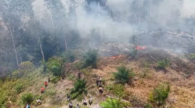 223 Orang dan 9 Korporasi Jadi Tersangka Kebakaran Hutan