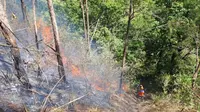 Tim gabungan berjibaku memadamkan kebakaran hutan di Gunung Panderman pada Rabu, 22 November 2023 (BPBD Kota Batu)&nbsp;