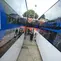 Petugas berjalan melintasi bus listrik Transjakarta saat peluncuran uji coba bus tersebut di Pool Transjakarta, Terminal Kampung Rambutan, Jakarta, Rabu (8/6/2022). Bus listrik itu akan melalui rute di jalur non Bus Rapid Transit (BRT) yang belum pernah dilalui bus listrik. (merdeka.com/Imam Buhori)