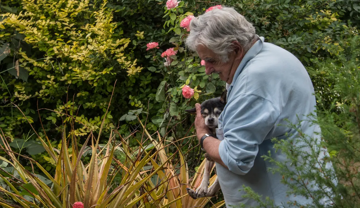 Jose Mujica bermain bersama anjing peliharaannya yang berusia 19 tahun, Manuela saat syuting film dokumenter di kediamannya di Montevideo, Uruguay, pada 12 Desember 2016. (AFP Photo/Pablo Porciuncula)