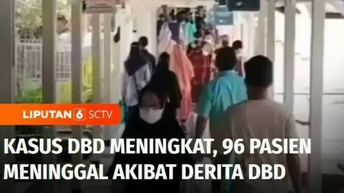 VIDEO: Kasus DBD di Jawa Barat Meningkat, Sebanyak 96 Pasien Meninggal Akibat Menderita DBD