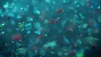 Ancaman Mikroplastik, Tim Riset UB Desak Pemerintah Perkuat Mitigasi