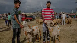 Dua orang pedagang memegang domba untuk kurban Idul Adha yang diwarnai di Srinagar, Kashmir (30/8). Hewan kurban tersebut diberi warna untuk menarik para pembeli. (AP Photo/Dar Yasin)