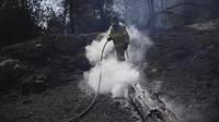 Pemadam kebakaran memadamkan kebakaran hutan di dekat Yerussalem, Israel pada 1 Mei 2025. (AP/Ohad Zwigenberg)