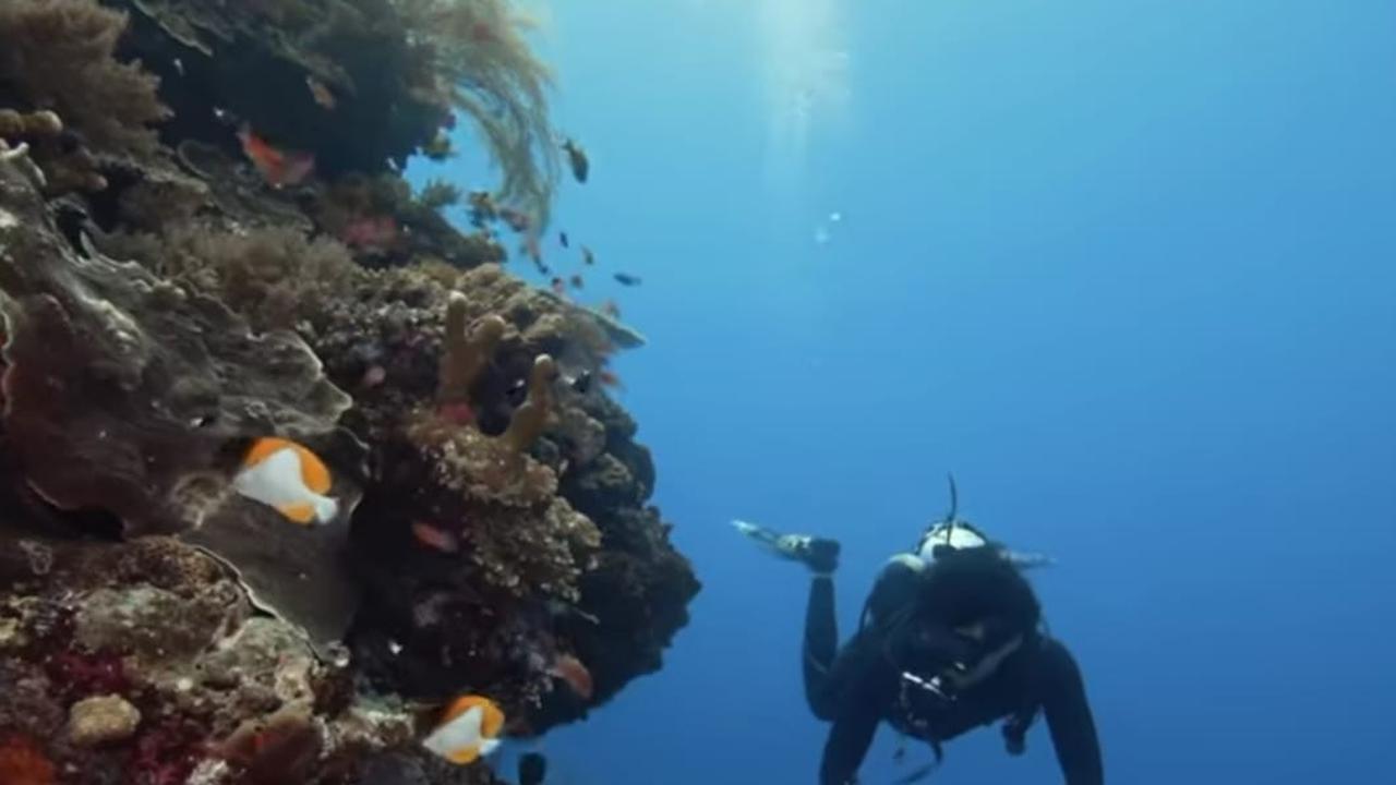 Atta Halilintar Kasih Gombalan ke Aurel Hermansyah di Instagram, Disamakan dengan Hiu Laut