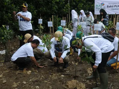 PT PLN Nusantara Power bersama Komunitas Mangrove Muara melakukan penanaman mangrove di Kawasan Eco Marine Mangrove Muara Angke, Jakarta, Kamis (7/12/2023. (merdeka.com/Imam Buhori)