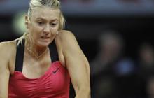Sharapova maju ke perempatfinal Stuttgart WTA