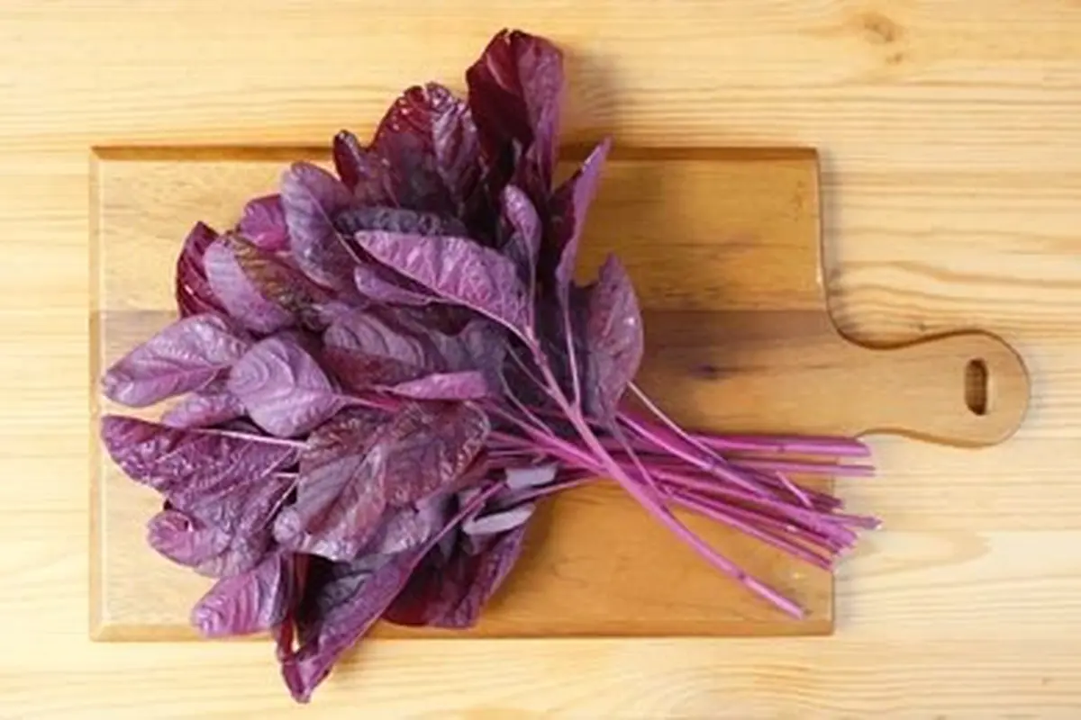 Daun Bayam Merah Sayur