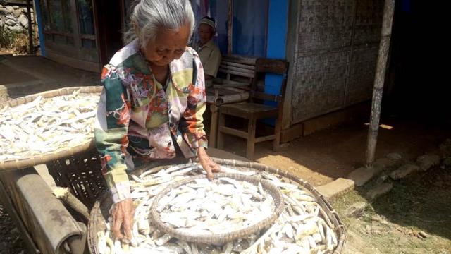 Mbah putri tengah menjemur singkong, bahan baku oyek alias Tiwul. (Foto: Liputan6.com/Muhamad Ridlo)