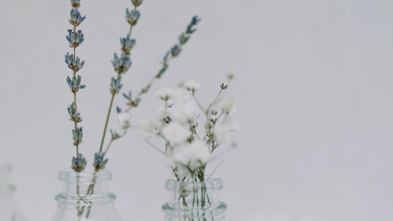 Ornamen yang Bikin Ruangan terlihat Alami
