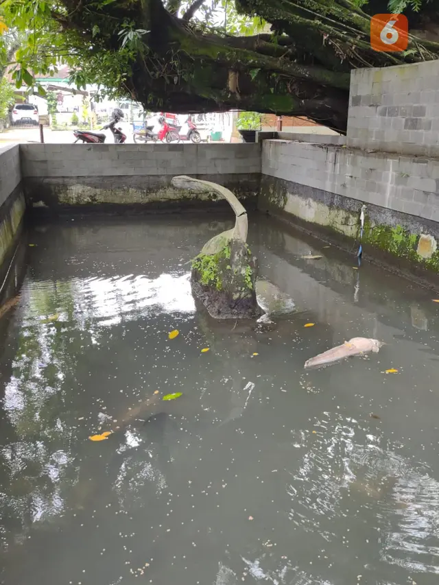 Kisah Mistis Ikan Berumur Puluhan Tahun di Sendang Lele
