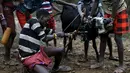 Sejumlah pria muda Pokot saat ingin membunuh hewan ternak selama upacara Sapana di Baringo County, Kenya , (20/1). Pria dari masyarakat Pokot harus menjalani ritual ini untuk menjadi dewasa. (REUTERS / Siegfried Modola)
