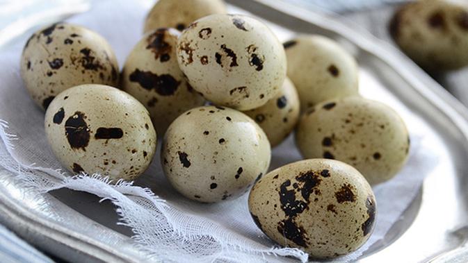 Fungsi Cangkang Pada Telur Puyuh - Beauty Fimela.com