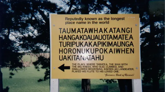 Taumata