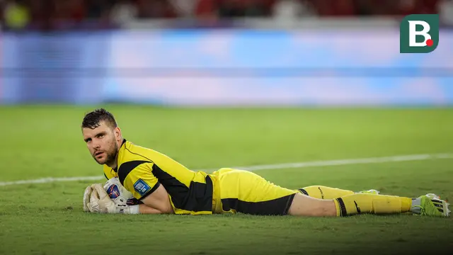 Maarten Paes, Timnas Indonesia