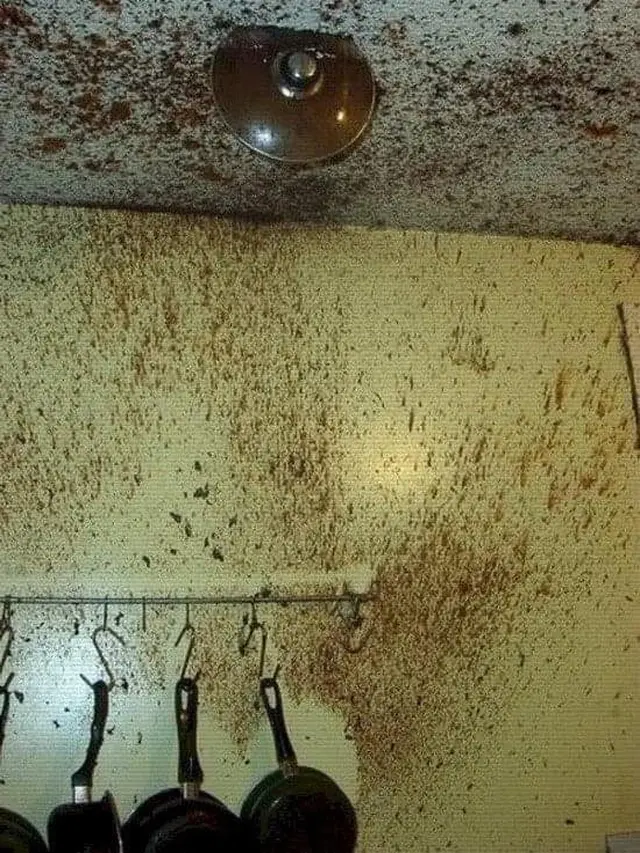 6 Potret Kocak Kalau Bapak-bapak Masak di Dapur Ini Bikin Tepuk Jidat