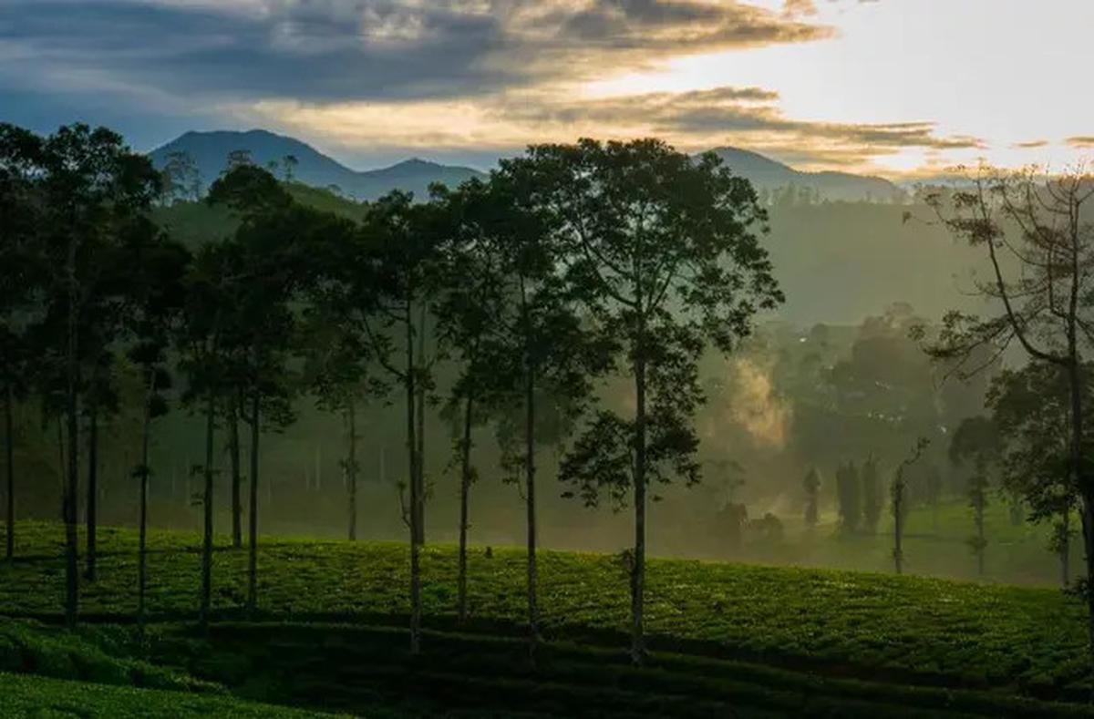 6 Fakta Menarik Gunung Batu Ciwidey di Perbatasan Bandung dan Cianjur