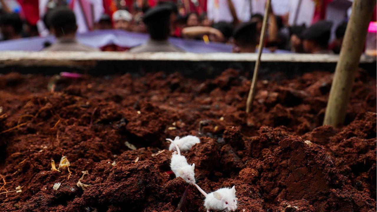 Mahasiswa berunjuk rasa tuntut penangkapan Harun Masiku