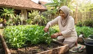 Cara Merawat Tanaman Kangkung agar Tumbuh Subur dan Cepat Panen